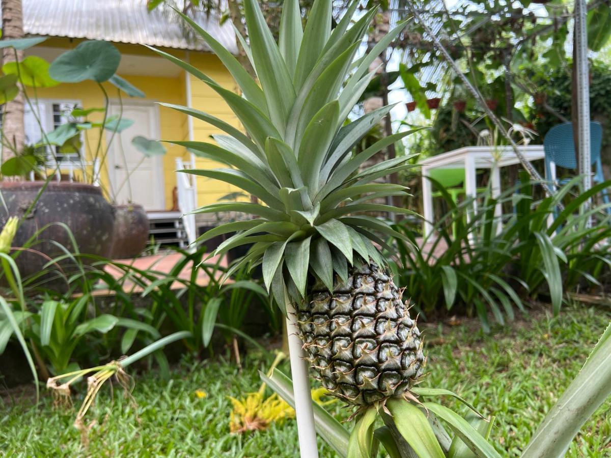 Tropical Garden Phu Quoc Apartment Bagian luar foto