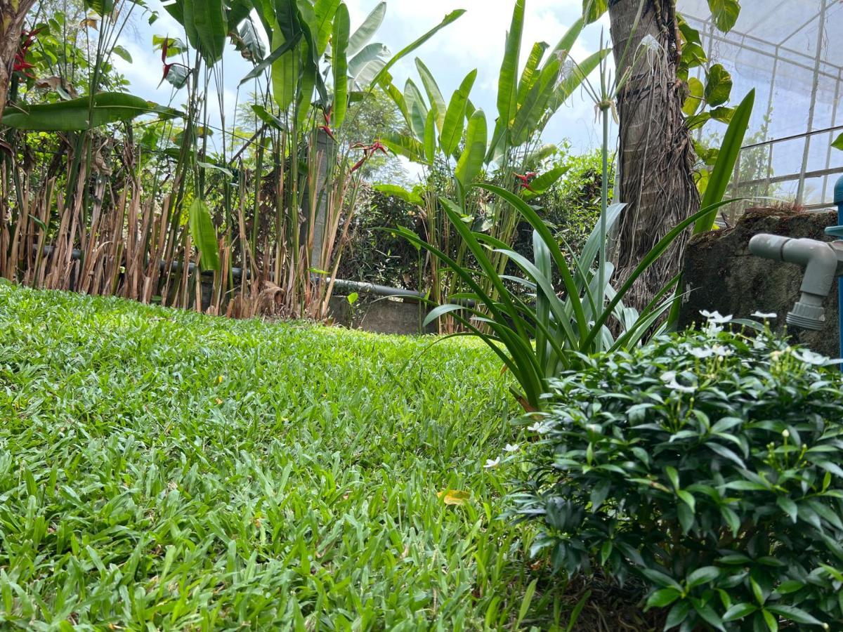 Tropical Garden Phu Quoc Apartment Bagian luar foto