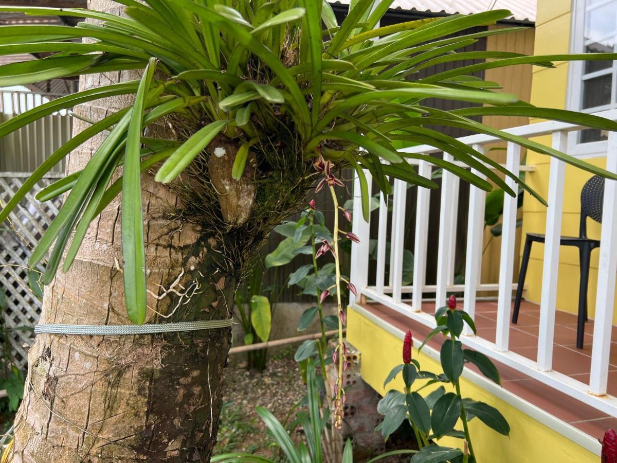 Tropical Garden Phu Quoc Apartment Bagian luar foto